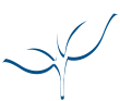 white leaf icon