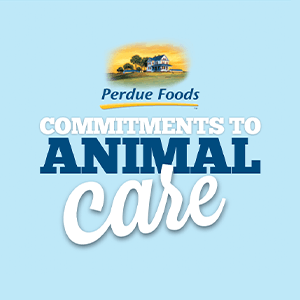 Perdue Farms Shares Animal Care Progress, New Initiatives During Virtual Fifth Annual Animal Care Summit