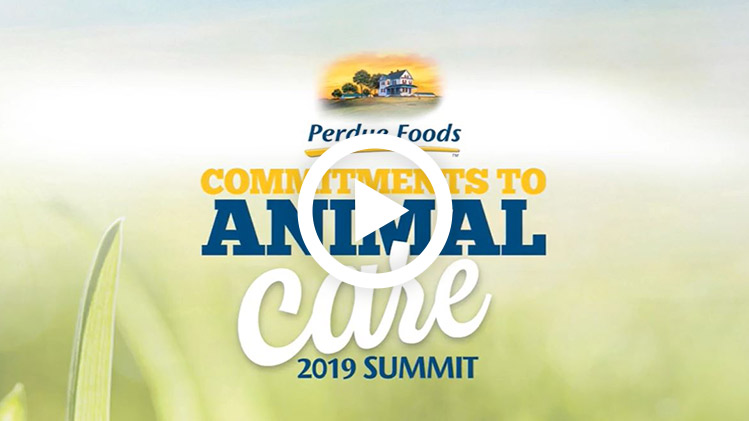 Animal Care Summit 2019 Highlights