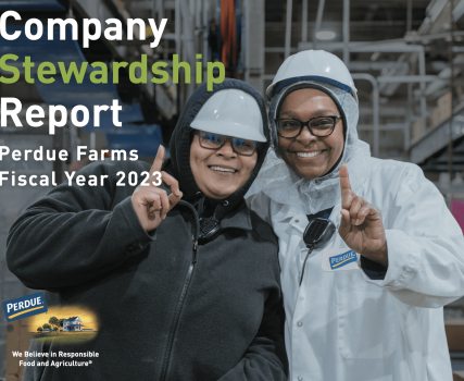 Sustainability Journey  