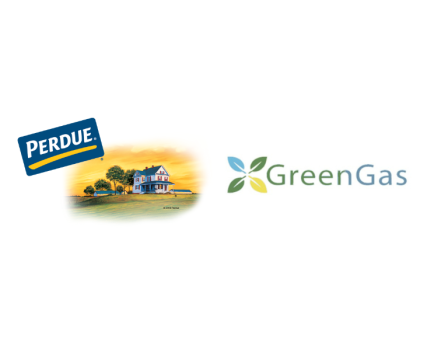 Perdue x Greengas