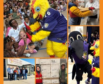 Mascot in yellow costume interacting with crowd at event; collage includes photos of mascot with children and fans in stadium setting.