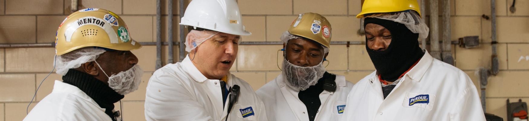 Workers in the plant