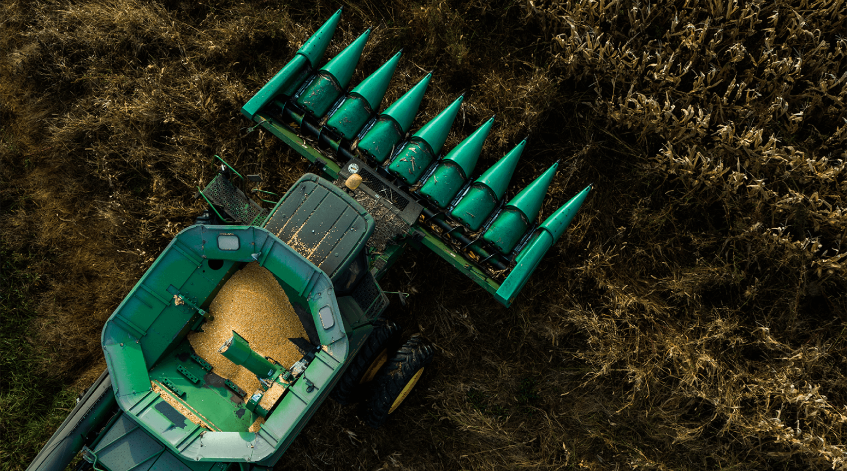 Farming For The Future