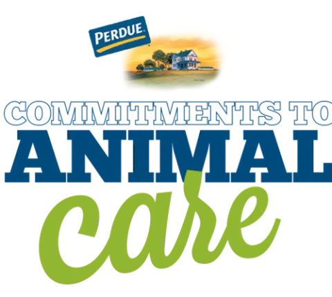 Animal Care