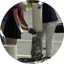 Perdue teaches oyster restoration skills to local students