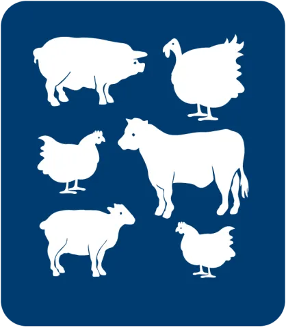 Iconography showing chickens, cows, turkeys and pigs