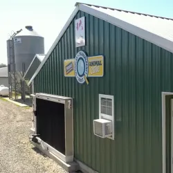 Green metal poultry house with grain storage bin and equipment.