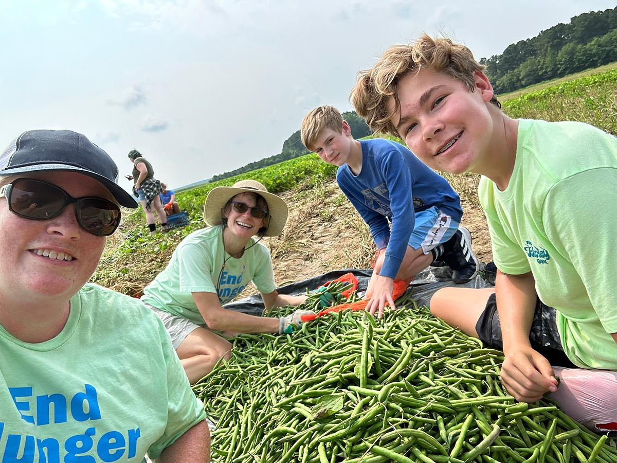 Group of people in casual clothing and caps harvesting green beans in a field.
