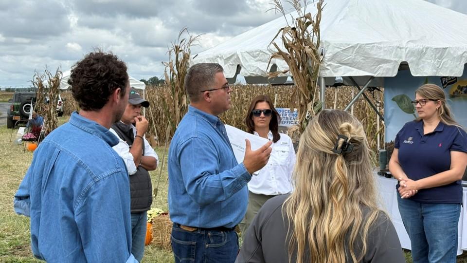 Group of people in blue shirts examining corn stalks at outdoor agricultural setting.